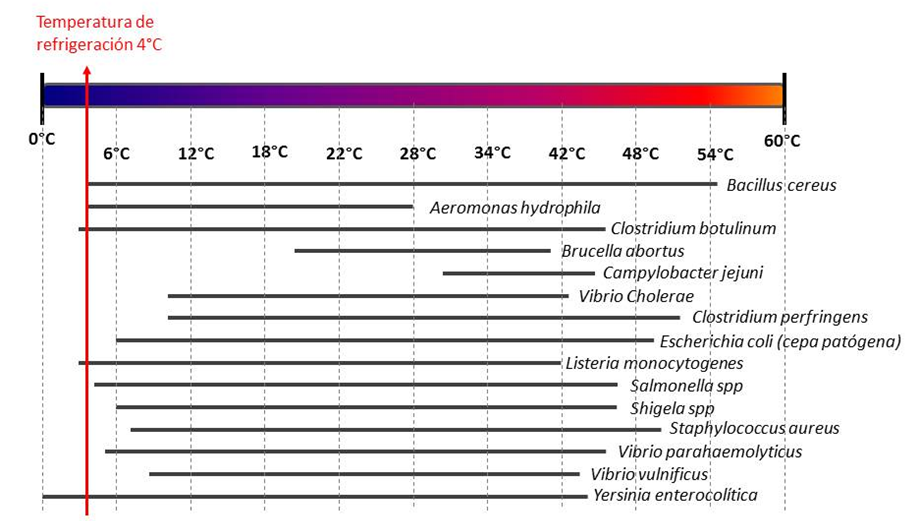 Crecimiento bacteriano